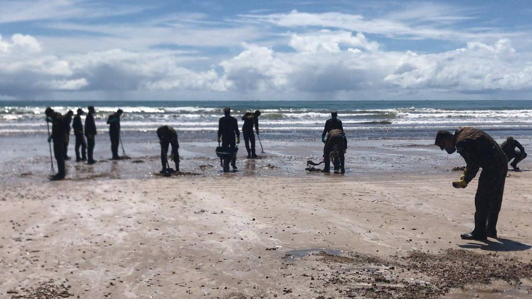 Mutirões de limpeza continuam sendo realizados em diversas praias do Estado