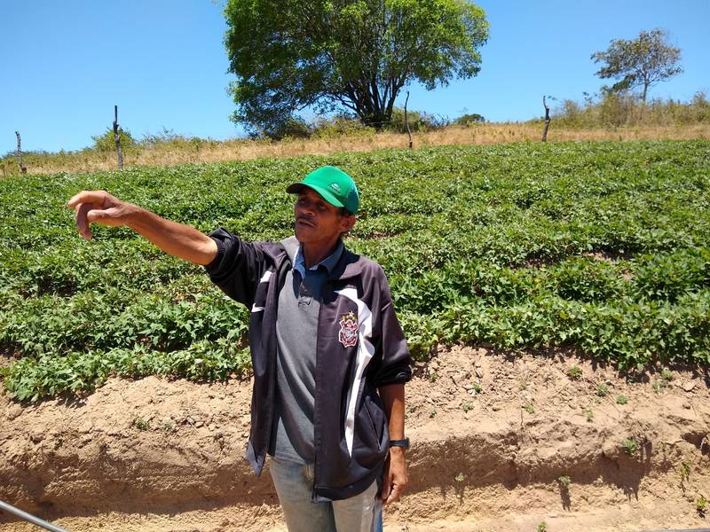 Projeto beneficiaria cerca de 150 famílias da agricultura familiar no município de Palmeira dos Índios