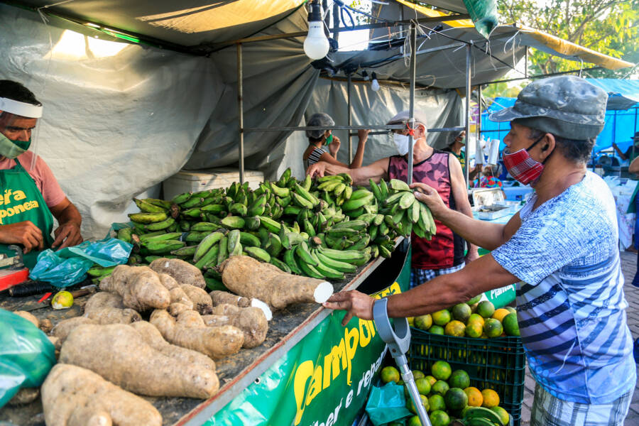 Os produtos orgânicos produzidos nos municípios alagoanos são livres de agrotóxicos