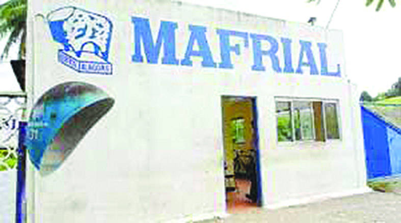 /Mafrial foi o primeiro matadouro frigorífico que entrou em funcionamento em Alagoas